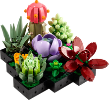 Load image into Gallery viewer, 10309 Succulents