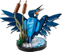 Load image into Gallery viewer, 10331 Kingfisher Bird