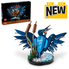 Load image into Gallery viewer, 10331 Kingfisher Bird