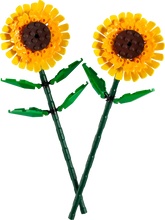 Load image into Gallery viewer, 40524 Sunflowers