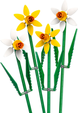 Load image into Gallery viewer, 40747 Daffodils