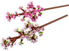 Load image into Gallery viewer, 40725 Cherry Blossoms

