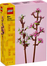 Load image into Gallery viewer, 40725 Cherry Blossoms
