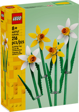 Load image into Gallery viewer, 40747 Daffodils
